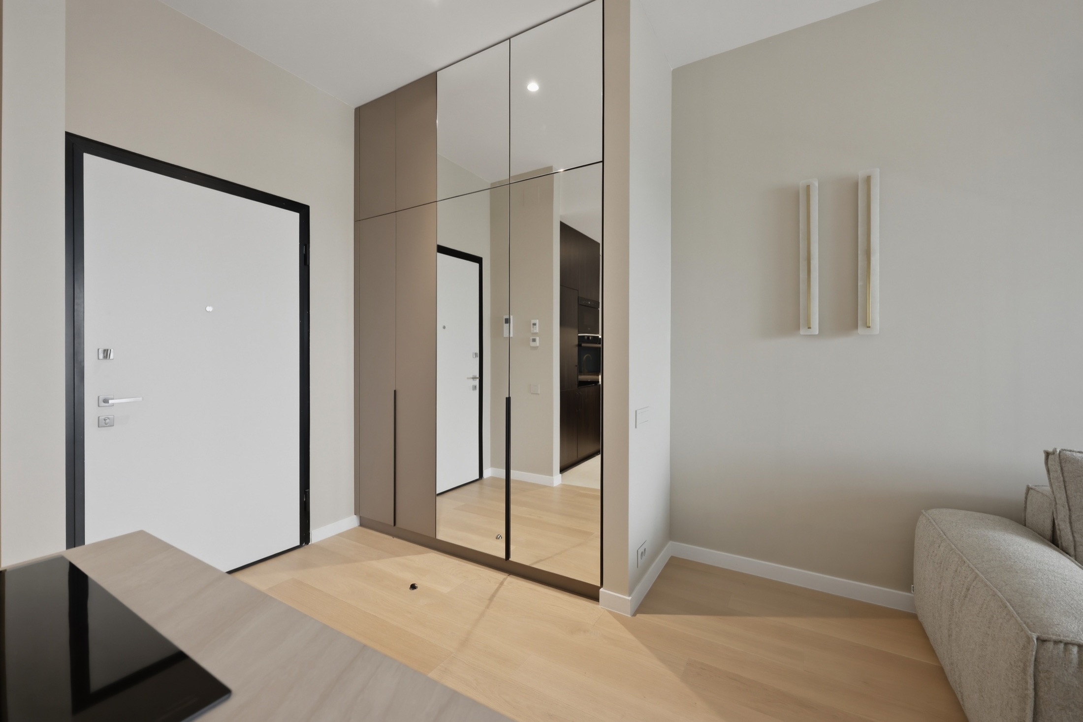 Apartment entrance and circulation detail